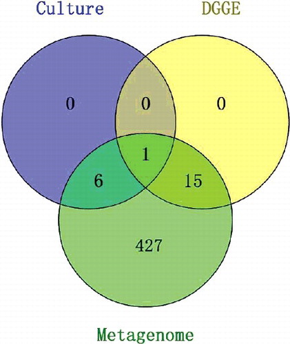 Figure 3. Comparison of genus levels using metagenome, culture-dependent, and DGGE methods.