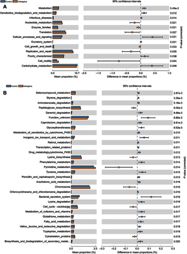 Figure 5 Predicted functions for the altered metagenome of gut microbiota in each group shown with Kyoto Encyclopedia of Gene and Genomes pathways.