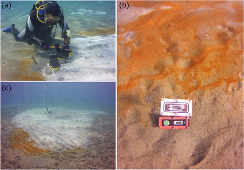 Figure 3. (a) Sampling the bacterial mats, (b) Temperature measurements using the custom-built temperature probe, (c) Typical seafloor features in Paleochori bay showing gaseous discharge, white bacterial mats and yellow-orange hydrothermal precipitates. Water depth is around 4 m. The images were captured with a SeaLife Micro 2.0 underwater camera with a high resolution 16MP SONY® Image Sensor.