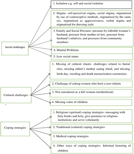 Figure 2. Details of themes.