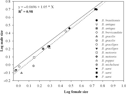 Figure 3 Relationship between the log female size and the log male size. Solid line represents no sexual size dimorphism (male size = female size). Dotted line below the diagonal represents female-biased size dimorphism in Patagonian centropagids.