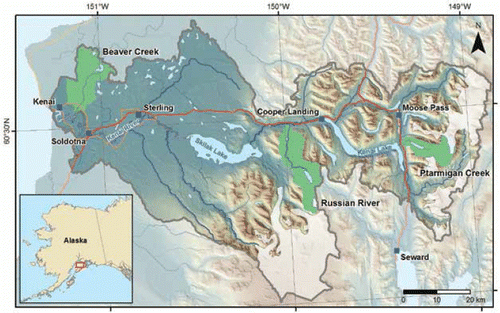 Figure 2. Kenai River watershed (area within grey border) including three focal subbasins (green polygons) and glaciers (white polygons) within the watershed. Red lines are major highways and orange lines are secondary roads.