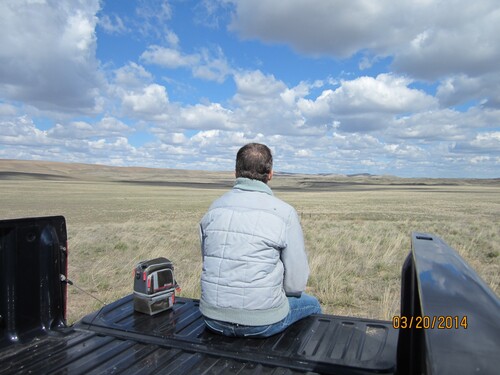 Figure 4. Respondent 8 sitting in the rear of a truck flatbed and looks out over an expansive grass stand. Large clouds pepper the sky. ‘This is one that reflects the part of my job I love’ (respondent 8).