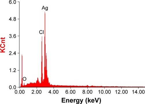 Figure 3 SEM–EDS spectrum of AgNPs. A strong peak at 3 keV confirms the presence of Ag.Abbreviations: SEM–EDS, scanning electron microscopy–energy-dispersive spectroscopy; AgNPs, silver nanoparticles.