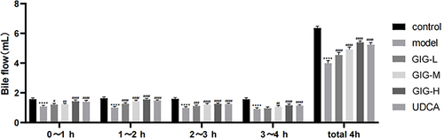 Figure 2 Effect of GIG on bile flow in ANIT-induced rats. Results are shown as mean ± SEM (n=10, n, numbers of rats), compared with the normal control group, ****P<0.0001; compared with the model group, #P<0.05, ##P<0.01, ###P<0.001, ####P<0.0001.