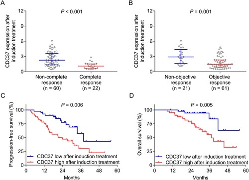 Figure 4. CDC37 after induction treatment reflected poor treatment response and survival in multiple myeloma patients. Correlation of CDC37 after induction treatment with complete response (A), objective response (B), progression-free survival (C), and overall survival (D) in multiple myeloma patients.