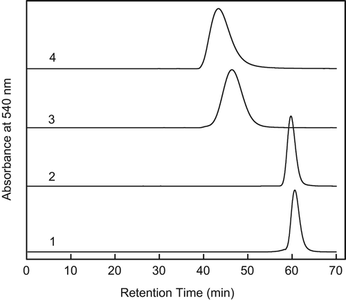 Figure 2. SEC analysis of modified Hbs. 1, HbA control; 2, αα-Hb; 3, (Propionyl-PEG5K)6-αα-Hb; 4, (Propionyl-PEG5K)10-αα-Hb.