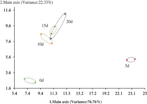 FIGURE 2 PCA analysis of the volatile components in wax gourd during fermentation.