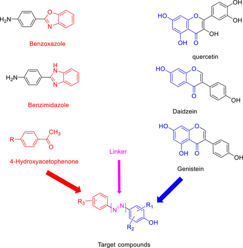 Figure 1 Scaffold of the target compounds.