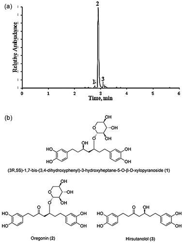 Figure 1. (a) Base peak ion chromatogram of purified (90% oregonin) alder bark extracts obtained by negative ion UPLC-ESI-MS. Oregonin (2), (3R,5S)-1,7-bis-(3,4-dihydroxyphenyl)-3-hydroxyheptane-5-O-β-d-xylopyranoside (1) and hirsutanolol (3). (b) Chemical structure of compounds 1–3.