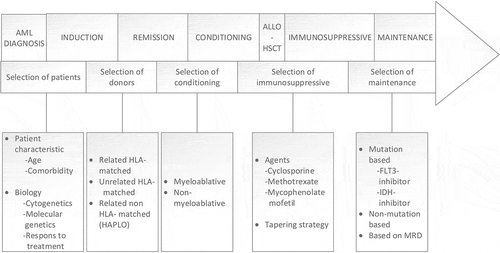 Figure 1. The specific phases in the allo-HSCT course, and how different approaches can be used to intervene in different phases. Abbreviations: MRD, measurable residual disease