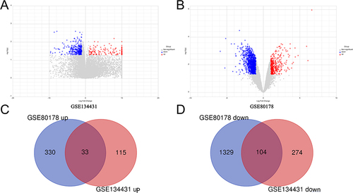 Figure 2 Screening for DEGs. (A and B) The volcano plot of DEGs in GSE134431 (A) and GSE80178 (B). Blue dots represent downregulated genes and red dots represent up-regulated genes. (C and D) The data of the Venn diagram about upregulated (C) and downregulated DEGs (D) were extracted from the two GSE datasets (GSE80178 and GSE134431).