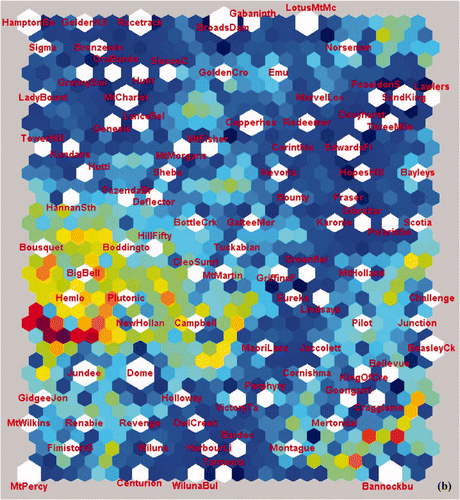 Figure 3 (a) U-matrix output from the SOM analysis of the global mineral deposit database (364 deposits) showing groupings of deposits (uniform areas of cold colours) and boundaries between clusters (warm colours). (b) U-matrix output from the SOM analysis of a subset of 112 Archean gold deposits, mainly from the Yilgarn Craton in Western Australia and the Abitibi Belt in Ontario, Canada. Note: global is meant in the context of the data compilation including all commodity types, geographic locations and ages. Some deposit names are abbreviated due to a glitch in the software which allowed for nine letters per label only: e.g. Boddingto, Boddington; CleoSunri, Cleo-Sunrise; HamptonBo, Hampton-Boulder deposit; GrannySmi, Granny Smith; LadyBount, Lady Bountiful; NewHollan, New Holland (all Yilgarn Craton, WA).