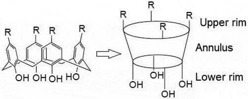 Figure 1. Cone conformation of a typical calix[4]arene.