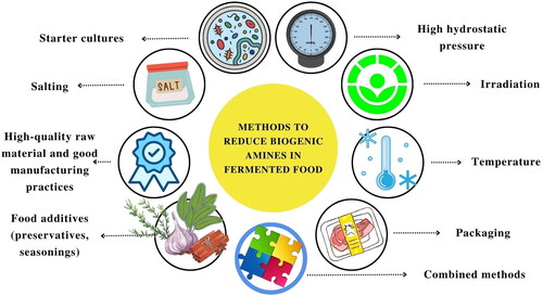 Figure 2. Methods to reduce BAs in fermented products. Created with canva.com.