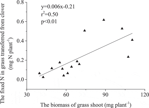 Figure 5. The relationship between the quantity of N in the grass shoot transferred from the red clover and total grass aboveground biomass.