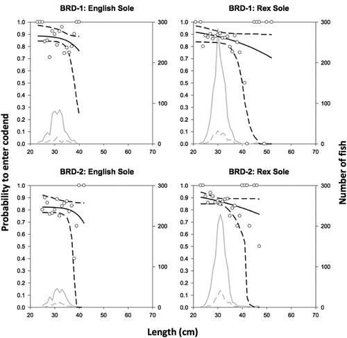 FIGURE 3. Mean selectivity curves quantifying a fish’s probability of entering the cod end of a trawl equipped with one of two bycatch reduction devices (BRD-1 and BRD-2), as modeled for English Sole and Rex Sole (length = cm TL). Black solid lines represent the modeled value; black dashed lines depict the 95% confidence interval limits; open circles denote the experimental proportions of the catch observed in the cod end; gray solid lines represent the number of fish caught in the trawl cod end; and gray dashed lines depict the number of fish caught in the recapture net.
