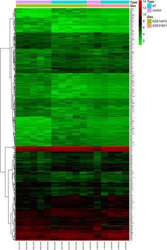 Figure 2 Clustering heatmap of DEGs in GSE14975 and GSE31821 datasets. n = 611 DEGs. The red signifies upregulation, whereas the green indicates the downregulation of genes.