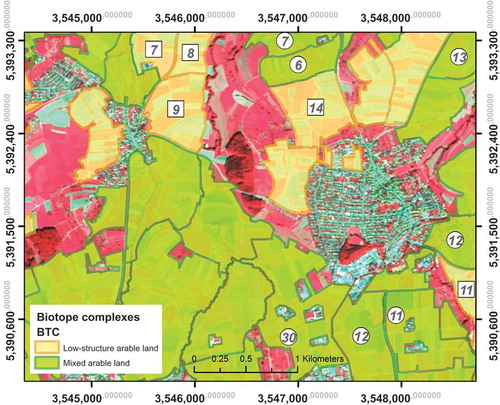 Figure 2. Expert- and ground-validated BTCs representing the functional BTC low-structured arable land (yellow tones), and mixed arable land (green tones) with underlying SPOT-5 false-color satellite imagery. Extent of subset: approx. 5.5 km, minimum size of BTC: 2 ha, framed figures: number of building blocks [squared: low-structured arable land, round: mixed arable land]).