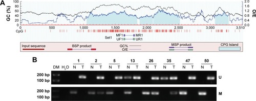 Figure 2 Promoter methylation status of HES1 in CRC tissues and paired normal samples.