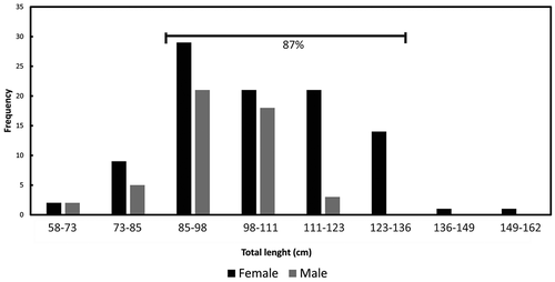 Figure 2. Total length frequency distribution by sexes of Pseudobatos productus in Bahía Tortugas, Mexico. Organisms collected ranged between 58.9-cm to 162-cm-TL (mean 101.54 - SD± 16.08-cm-TL), the 87% of the organisms sampled oscillated between 85-cm to 136-cm-TL