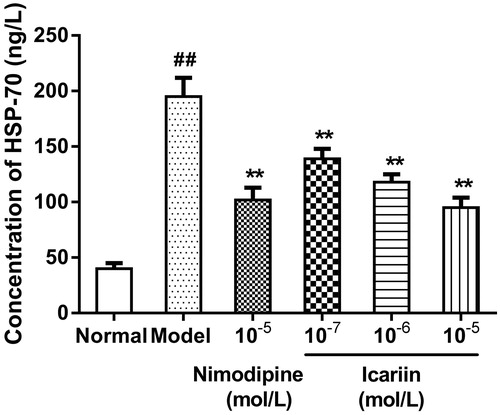 Figure 4. Effect of icariin on HSP-70 levels in OGD-treated PC12 cells. Model control cells were treated with 2 h OGD. The treated cells were incubated with icariin(10−7, 10−6 or 10−5 mol/L) or nimodipine (10 μmol/L) 1 h before OGD and 2 h throughout OGD. Normal control cells were incubated in a regular cell culture incubator under normoxic conditions. After these treatments, HSP70 levels in cell supernatant fluid were analyzed using ELISA assay. Mean ± SD for six samples. ##p < 0.01 vs normal control group. **p < 0.01 vs model control group.