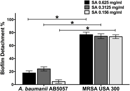 Figure 2 Biofilm detachment activity. Effect of different concentrations (0.625, 0.3125 and 0.156 mg/mL) of star anise extract (SA) on previously established A. baumannii AB5057 and MRSA USA300 biofilm. Results are expressed as mean detachment % ± standard error. The biofilm detachment % was calculated using the following equation: *Indicates that the difference is significant at p < 0.001 (two-way ANOVA, Tukey’s post-test).