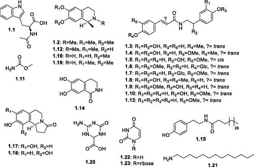 Figure 2. Structures of alkaloids and nitrogenous compounds (1.1–1.23) reported in the genus Salsola.