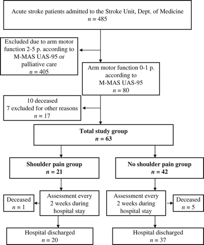 Figure 1. Flow chart of consecutive recruited stroke patients during hospital care.