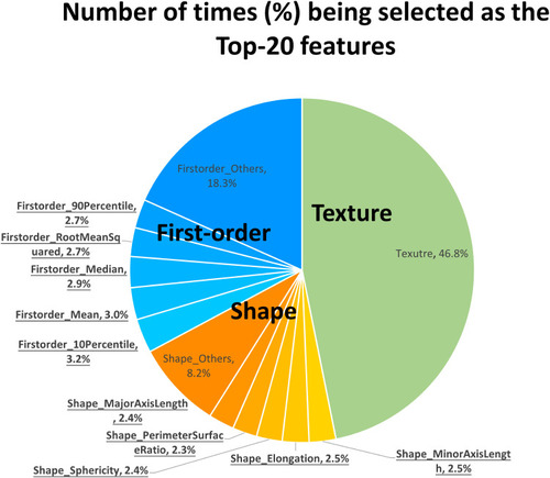 Figure 4 A pie chart showing the number of times (%) the features in F_pha^1 were selected into the top-20 features in the five-fold cross-validation of all discriminative models with AUCs >0.6. The most frequent 10 features are highlighted with underlined font.