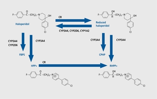Figure 3. Phase I metabolism of haloperidol. CPHP, chlorophenyhydroxypiperidine; CR, carbonylreductase; FBPS, fluorobutyrophenon acid; HPP+, haloperidol pyridinium; RHPP+ reduced HPP+.