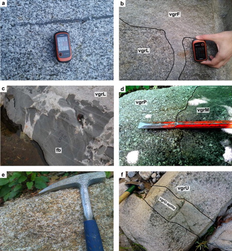 Figure 2. Outcrop-scale view on granitic facies of the VMP. (a) Biotite-rich layer (schlieren) parallel to the magmatic foliation in the Lower Valle Mosso facies (vgrL); (b) Lower Valle Mosso facies (vgrL) cross cut by diklet of Fila facies fine-grained leucogranite (vgrF) that forms a m-sized sill; (c) Permian doleritic dike (fb) intrusion into the foliated Lower Valle Mosso facies (vgrL), showing soft contact and the production of a thin layer of hybrid dioritic melt at the dike-granite interface; (d) Porphyritc granite of the Vaudano facies (vgrP) in soft contact with the granitic porphyry of Monte Bastia facies (vgrM) (e) Partly weathered equigranular monzogranite of the Montaldo facies (vgrE); (f) Sharp aplitic dike (vgrU-aplite) cross cut the Upper Valle Mosso facies (vgrU). GPS device, sizzle, hammerhead and sledgehammer head are respectively 10, 20, 15 and 20 cm in length.