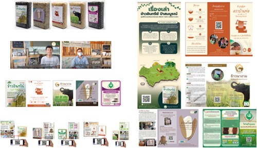 Figure 5. Development and enhancement of the community enterprise products showcasing updated packaging, marketing materials, and branding strategies.