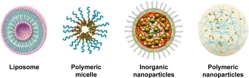 Figure 1 Illustration of sorafenib-loaded nanomedicines.