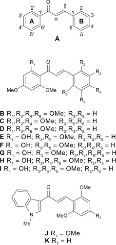 Figure 1 Core structure of generic chalcones (A) and substituted derivatives studied in our previous work (B–K).Citation29