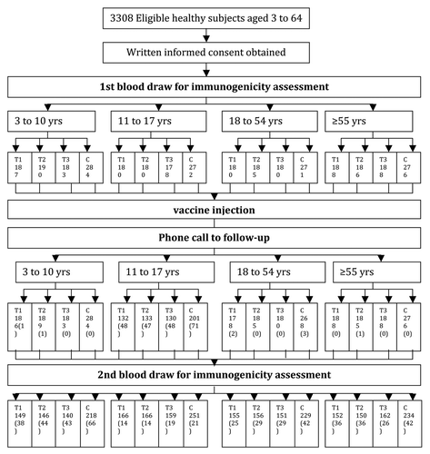 Figure 1. Study outline. Number in bracket is the number of drop-outs.