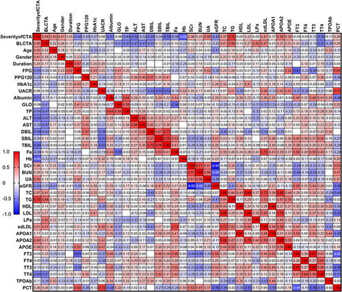 Figure 4 The heatmap shows the correlations between the severity and multiple metabolic parameters in patients with DFU. The gradient in red represents the degree of positive correlation, while the gradient in blue represents the degree of negative correlation, as shown by the color bar on the left side of the map. The correlational analyses indicated that CTA severity were positively correlated with UA, TG, while inversely with serum albumin, ALT, DBil, TBil, Hb. The level of serum iron were correlated with albumin, globin, ALT, SBil, TBil, TG, LDL, sdLDL, APOA1, FT3, FT4, TT3. We also found that FT3 is associated with age, FPG, albumin, globulin, SBil, TBil, iron, SCr, BUN, UA, eGFR, TC, HDL, LDL, sdLDL, APOA1, PCT.