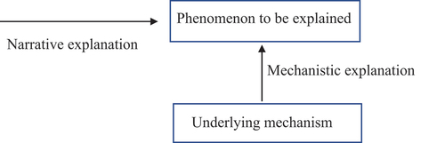 Figure 1. Narrative and mechanistic explanations.