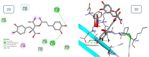 Figure 11. 2D and 3D representation of predicted binding mode of Fukinolic acid with BMPIA receptor.