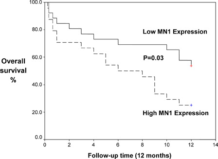 Figure 3. Kaplan–Meier curve for OS in CN-AML patients according to MN1 expression.