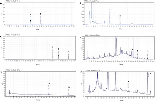 Figure 7. HPLC chromatograms of reference standards and GGD sample. (A) Reference chromatogram: (a) cinnamic acid; (b) cinnamaldehyde. (B) Sample chromatogram: (a) cinnamic acid; (b) cinnamaldehyde. (C) Reference chromatogram: (a) isorhamnetin; (b) schisandrin (is); (c) β-sitosterol. (D) Sample chromatogram: (a) isorhamnetin; (b) schisandrin (is); c. β-sitosterol. (E) Reference chromatogram: (a) DFV; (b) glycyrrhizic acid. (F) Sample chromatogram: (a) DFV; (b) glycyrrhizic acid.