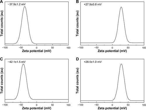 Figure S5 Zeta potential distributions for (A) ZnOSM20(−), (B) ZnOSM20(+), (C) ZnOAE100(−), and (D) ZnOAE100(+) at pH 7.0±0.3 48 hours after coating (mean ± standard deviation of n=10).