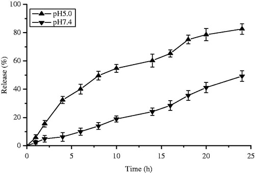 Figure 5. Percentage of curcumin released from oHMN at different pH condition.