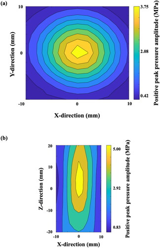 Figure 3. Positive peak pressure measurement of the FSW transducer. (a) free-field measurement on the X-Y directions; (b) free-field measurement on the X-Z directions. Intensity level: 0.1.