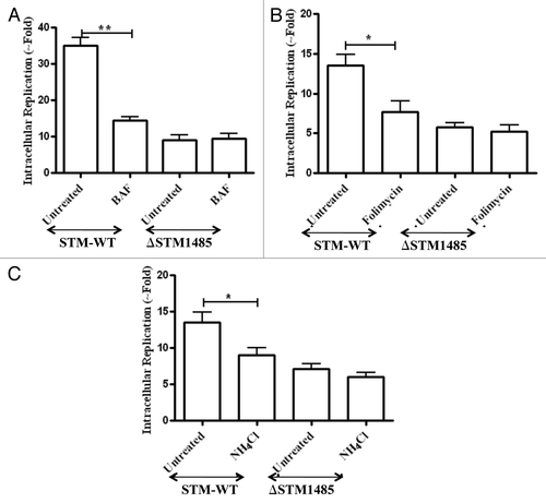 Figure 6. Effect of phagosomal pH neutralization on intracellular replication of ΔSTM1485 strain. RAW264.7 cells were pretreated with (A) bafilomycin A1 (50 nM), (B) Folimycin (100 nM) and (C) NH4Cl (100 mM) followed by infection as described in materials and methods. Infected cells were lysed at 2 h and 16 h post infection and bacterial load was shown as fold increase in CFU from 2 h to 16 h. Graphs are representative of three independent experiments with similar results. Statistical significance was defined as follows (*p < 0.05, **p < 0.005) (Student's t-test).