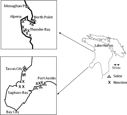 Figure 1. Map of Lake Huron showing locations of the two neuston sampling regions (Saginaw Bay and Thunder Bay) and four beach seine sampling sites (Monaghan Point, North Point, Tawas, Port Austin).