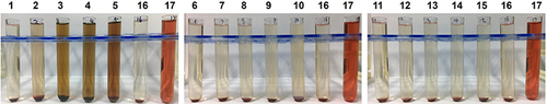 Figure 5 Hemolysis of Free Tet, LPs@Tet and S-LPs@Tet. 1–5 for Free Tet; 6–10 for LPs@Tet; 11–15 for S-LPs@Tet; 16: 0.9% NaCl solution (negative control); 17: distilled water (positive control).