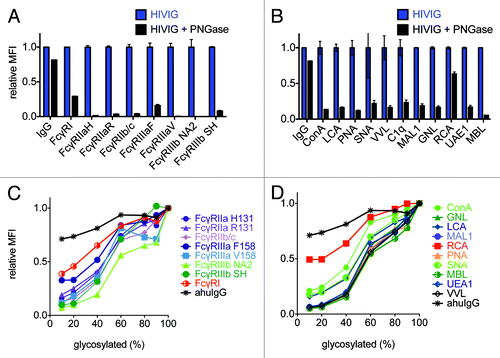 Figure 4. Probing glycan dependence of polyclonal antibody samples. A,B: FcγR (A) or lectin (B) conjugated beads were incubated with 267 nM of native IgG pooled from HIV positive donors (HIVIG) or HIVIG treated with PNGaseF to remove N-linked glycans. For comparability of fluorescent signals across multiple bead sets, HIVIG binding to each bead set was assigned an MFI of 1 and binding of de-glycosylated HIVIG to each bead type was plotted on this relative scale. An anti-human IgG capture bead (IgG) was used a positive control to ensure de-glycosylation had not compromised antibody structure. The mean of 3 replicates is plotted and error bars denote the %CV. C,D: In a separate experiment, native and de-glycosylated HIVIG were mixed in varying proportions before being incubated with FcγR (C) or lectin (D) beads in order to determine the dose-dependence of glycosylation status. Relative MFI scale established with respect to native HIVIG for each bead set, as in A,B.