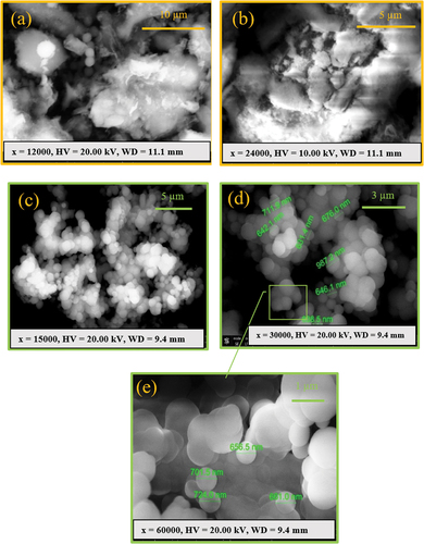 Figure 6. SEM images of PAZm/Py6 magnifications (a, X=12000 b, X= 24000), PAZm/Py5 magnification (c, X=15000 d, X=30,000 e, X=60,000).