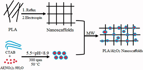 Scheme 1. Summary of the experimental route for the preparation of PLA/Al2O3 nanoscaffold.
